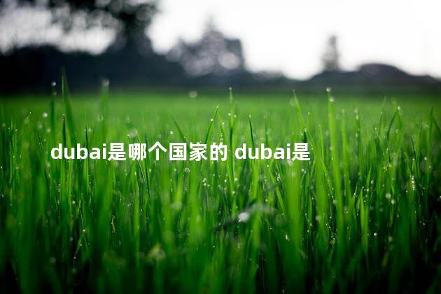 dubai是哪个国家的 dubai是哪个城市